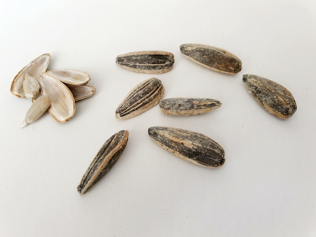 sunflower seeds and weight loss